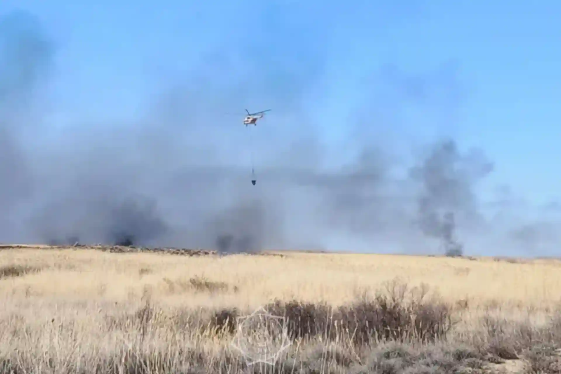 A fire broke out in a nature reserve in the south of Kazakhstan