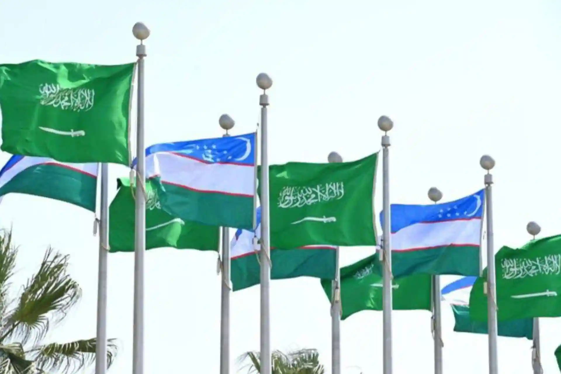 International schools of Saudi Arabia can be opened in Uzbekistan