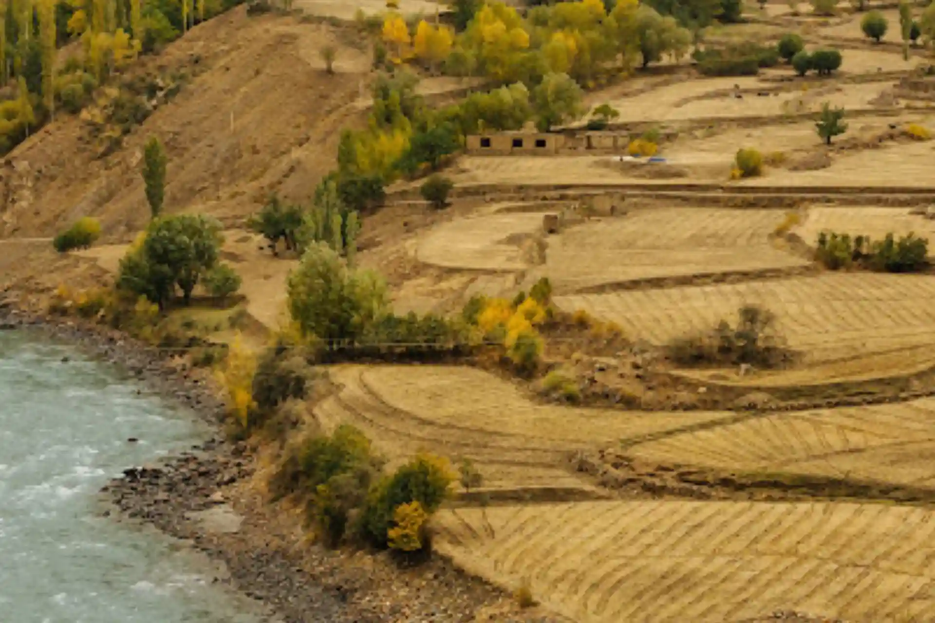 Russian companies are leasing land around the Koshtepa canal in Afghanistan