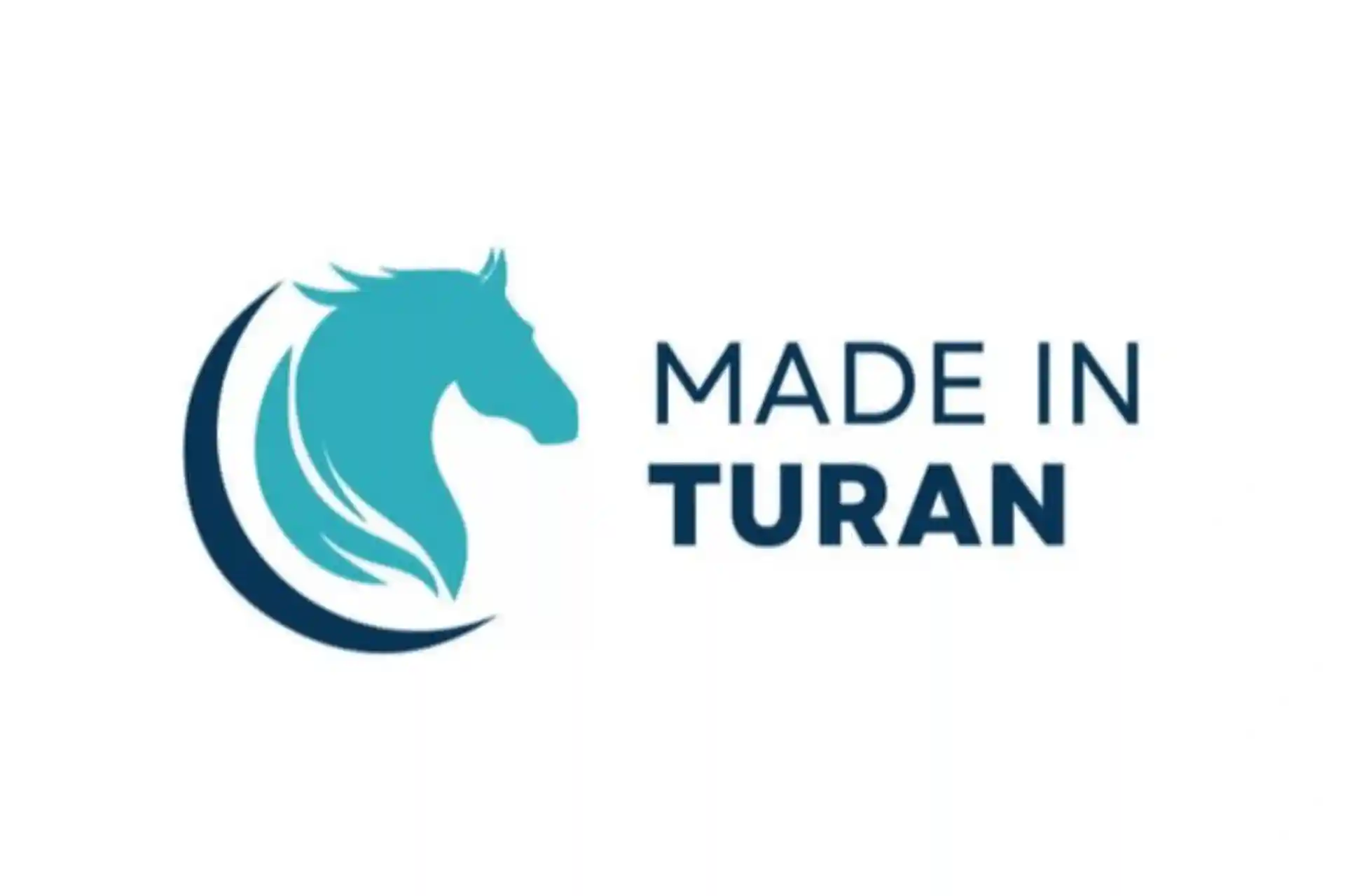 A brand uniting the Turkic countries was created