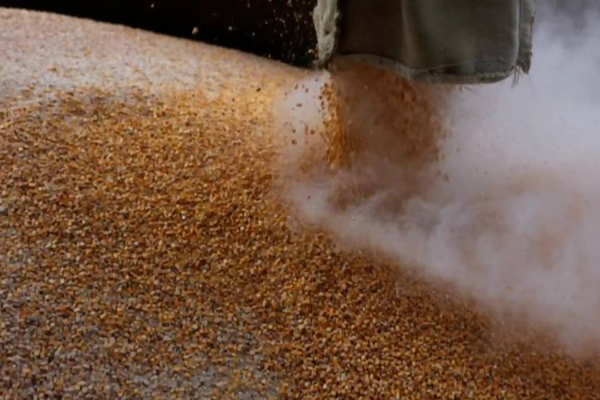 Kazakhstan has banned the import of Russian grain