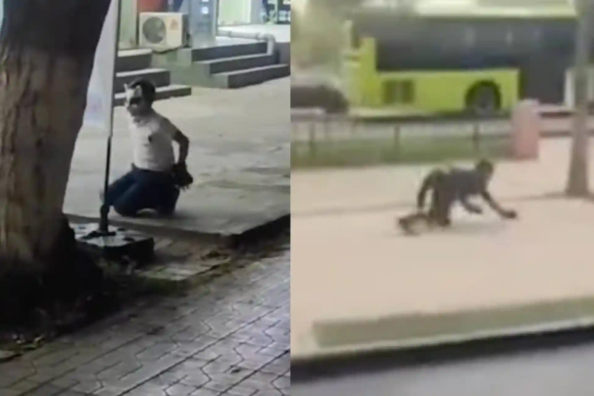The fight against quadrobers has begun in Uzbekistan