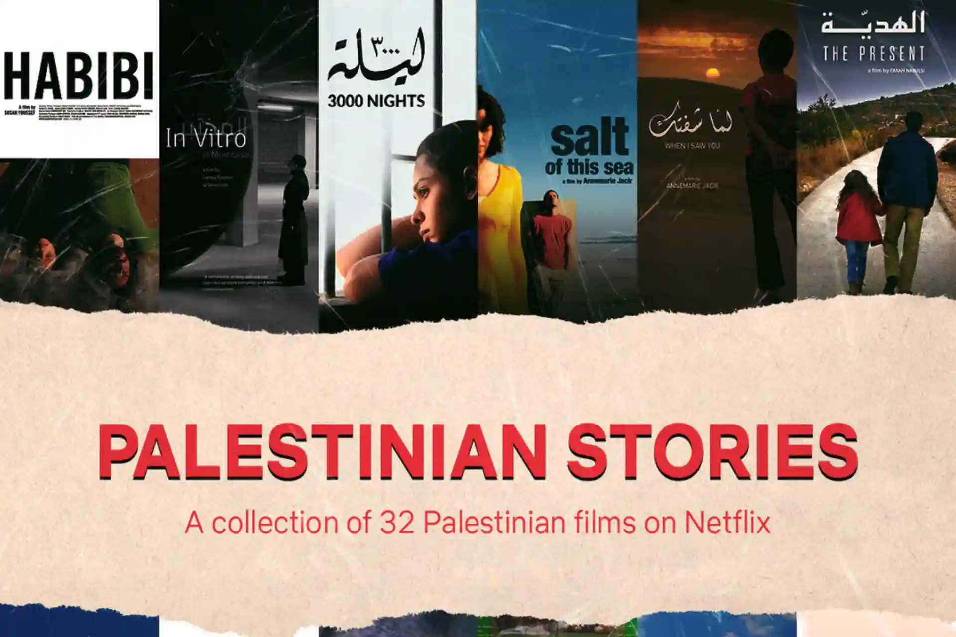 Netflix has removed films about Palestine