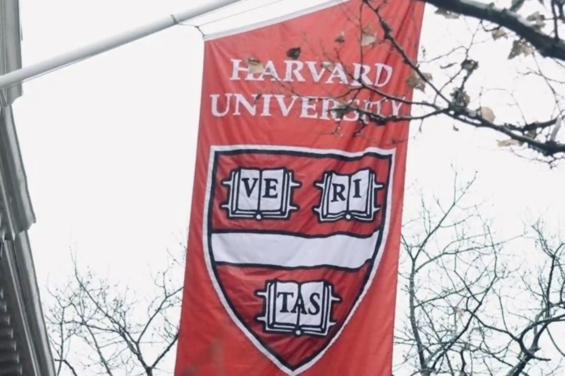 A federal judge in the US has blocked Trump's decision to stop accepting international students at Harvard University.