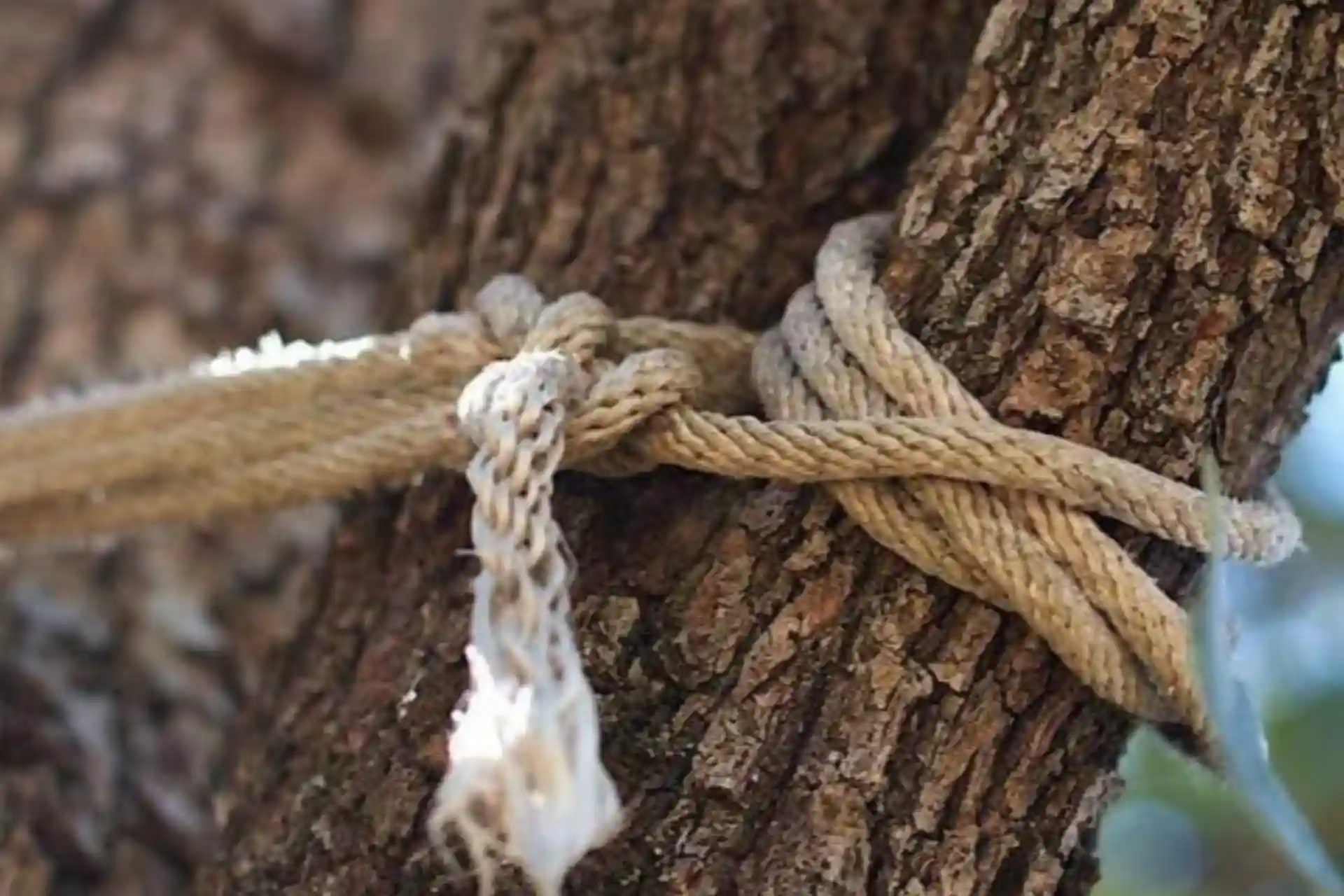 A 19-year-old man in Tashkent allegedly hanged himself over gambling