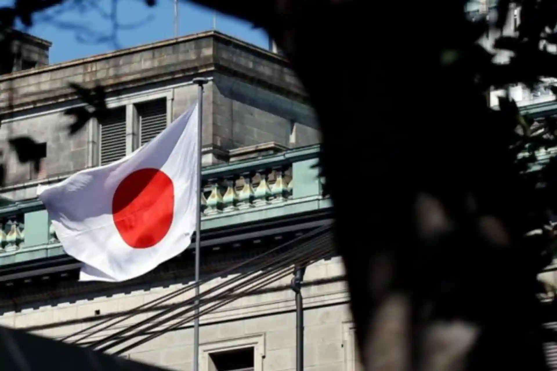 Afghanistan seeks cooperation with Japan in education