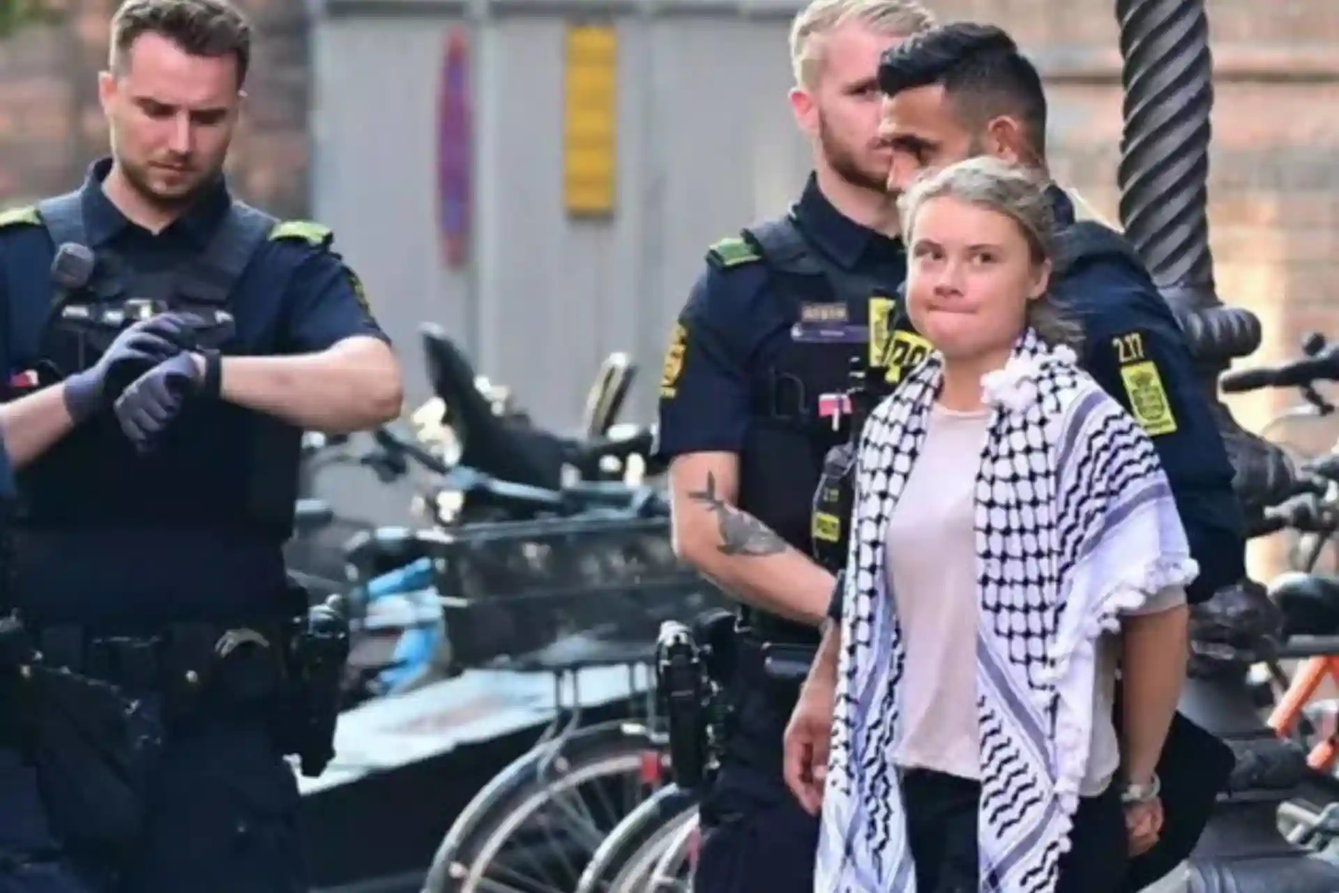 Greta Thunberg now wants to go to Gaza with more ships